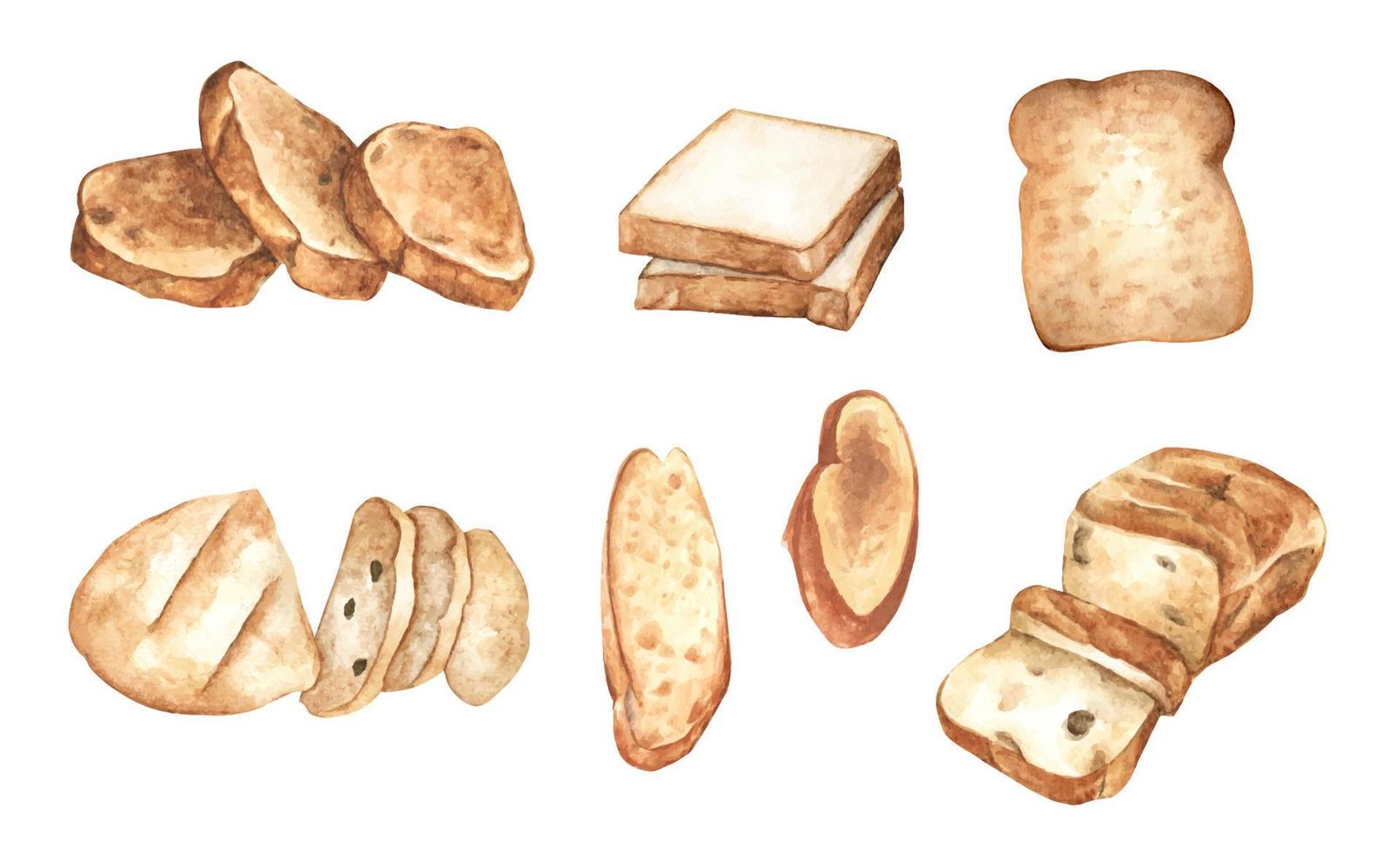 uppsättning skivor bröd. akvarell illustration. vektor