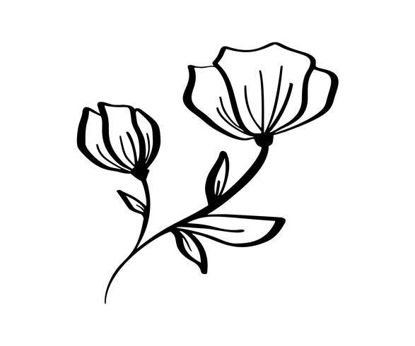 Übergeben Sie das gezogene moderne Blumenzeichnen und -skizze, die mit Linie Kunst, Vektorillustrations-Hochzeitsdesign für T-Shirts, Taschen, für Poster mit Blumen, die Grußkarten verziert sind, lokalisiert auf weißem Hintergrund vektor