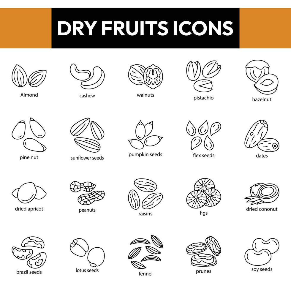trocken Früchte Symbole, trocken Obst Linie Symbole vektor