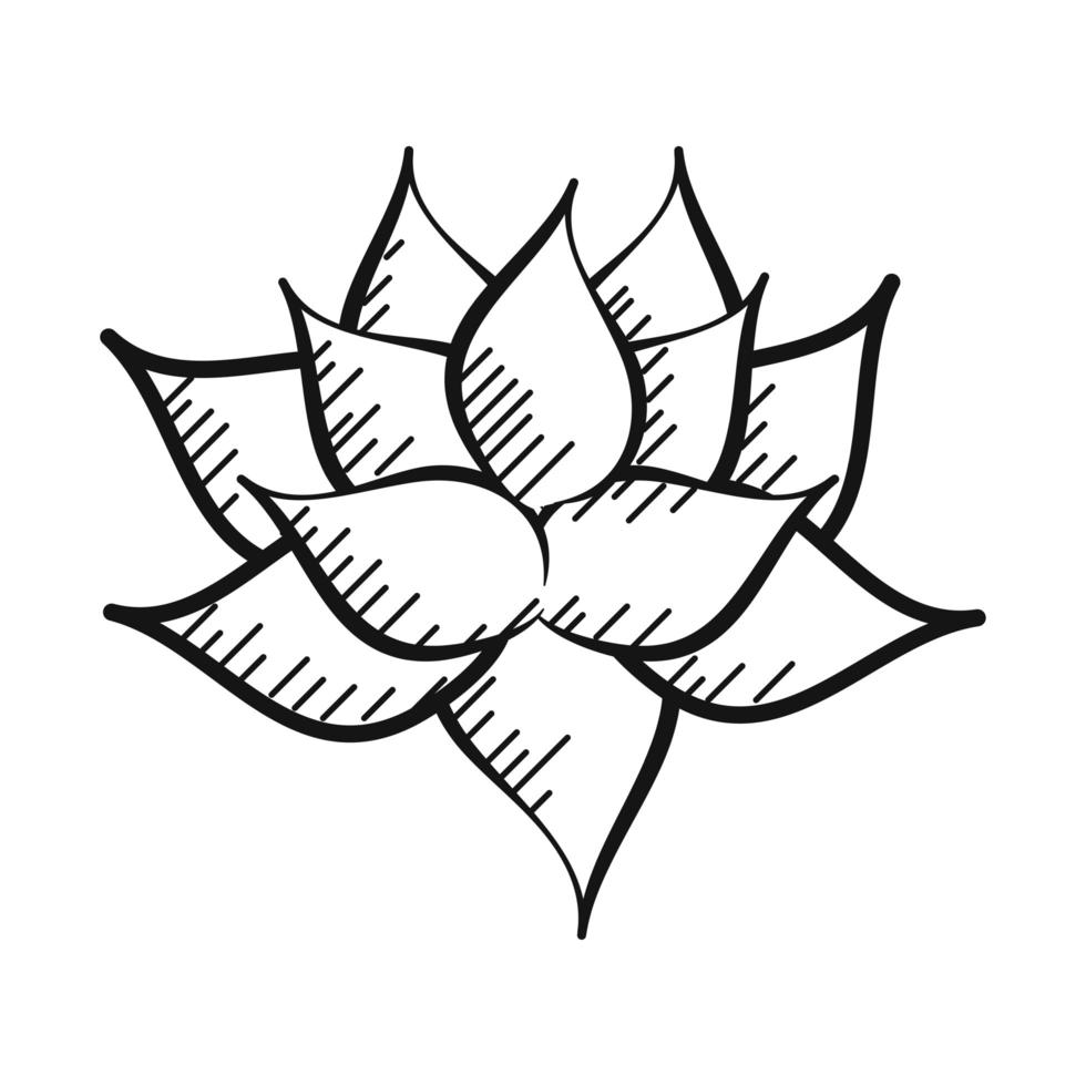 Blumen Lotus Dekoration vektor