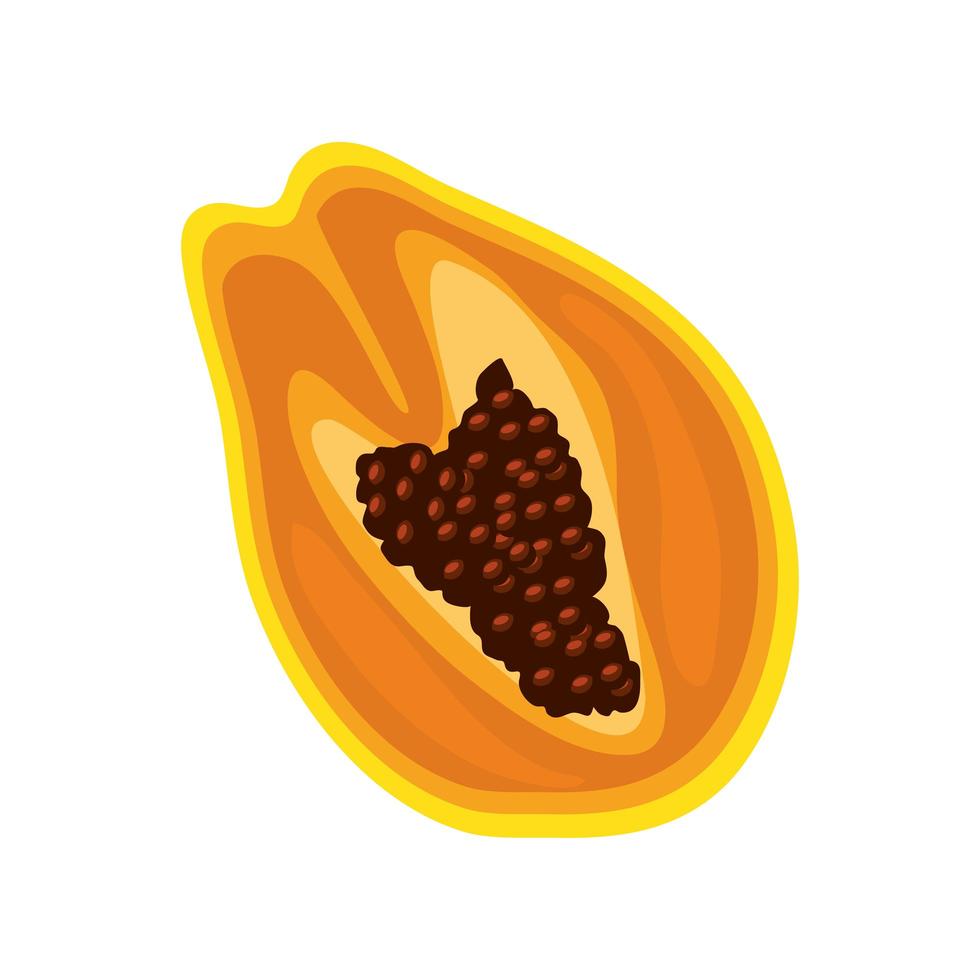 tropisk frukt papaya vektor