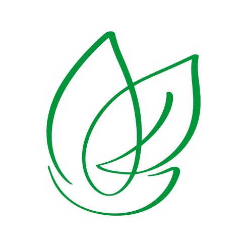 Blattnaturvektorlogoschablonendesign-Kalligraphieabbildung des strengen Vegetariers grüne, Lebensmitteldesign. Handschriftliche Beschriftung für Restaurant, rohes Menü des Cafés. Elemente für Etiketten, Logos, Abzeichen, Aufkleber oder Symbole vektor