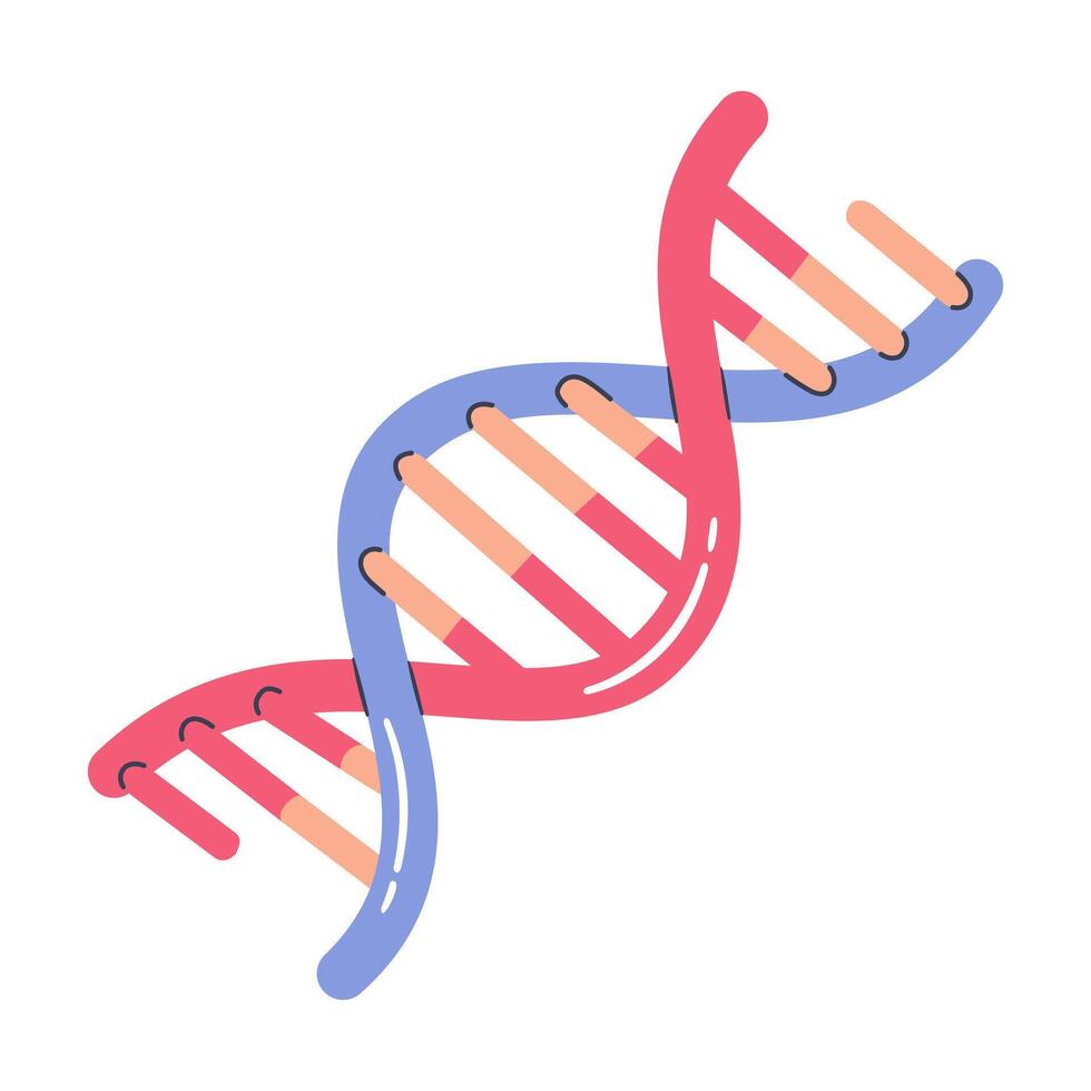 DNA Vektor Illustration isoliert auf Weiß Hintergrund