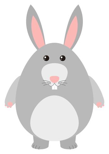Süßes Kaninchen mit grauem Fell vektor