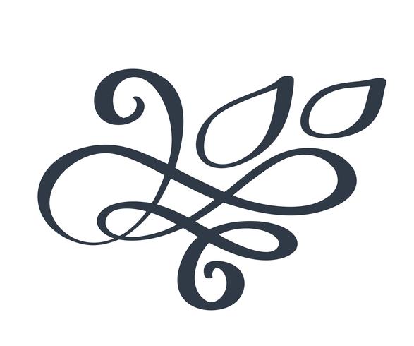 Hand gezeichnete Grenze Flourish Separator Kalligraphiedesignerelemente. Vektorweinlesehochzeitsillustration lokalisiert auf weißem Hintergrund vektor