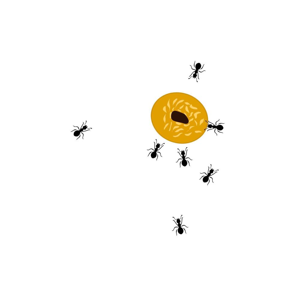 Vektor Illustration von ein Gruppe von Arbeiter Ameisen Gehen Tragen Essen zusammen auf ein Weiß Hintergrund. Ameisen Essen Kuchen. schwer Arbeit Konzept