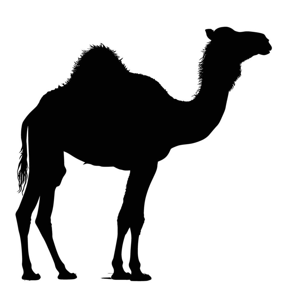 ai generiert Silhouette Kamel voll Körper schwarz Farbe nur vektor