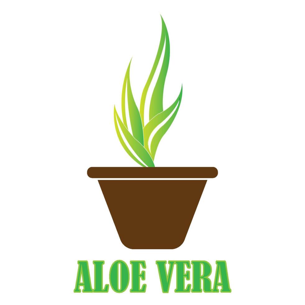 aloe vera ikon logotyp vektor design mall