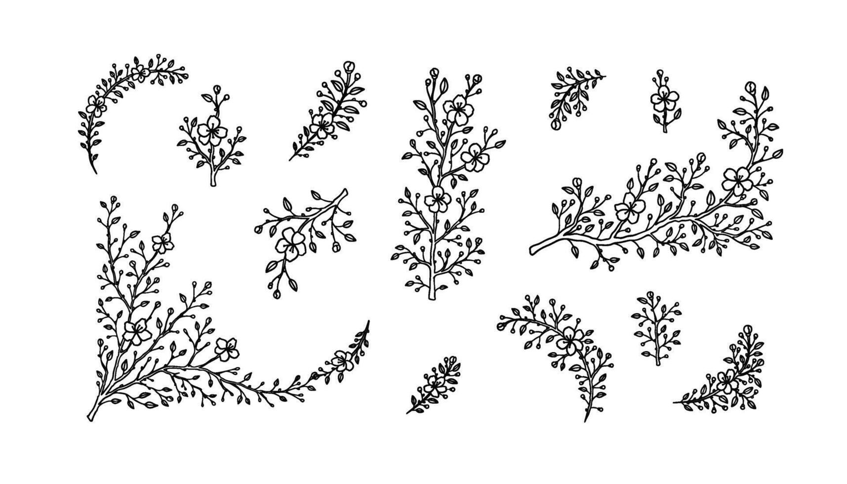 uppsättning av vår körsbär blomma grenar. japansk sakura blommor hand dragen skiss vektor illustration. låg konst minimalistisk design element. översikt årgång botanisk mandel, äpple, aprikos i blomma