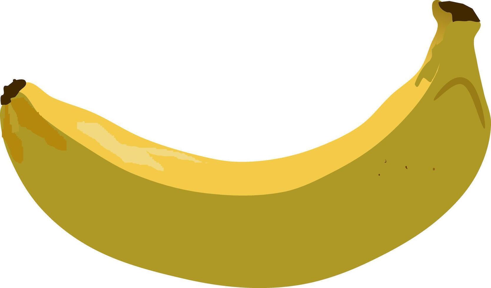 färsk banan salighet - en levande snapshot highlighting de naturlig överklagande av en nyligen skalad banan, perfekt för främja organisk och hälsosam levande. banan vektor illustration.