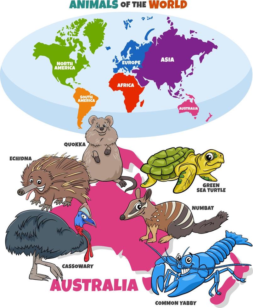 pedagogisk illustration med tecknade australiska djur och karta vektor