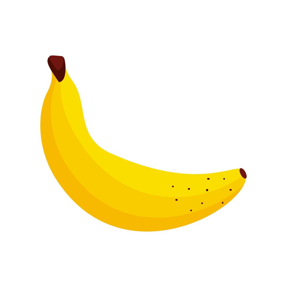 Bananenfrucht frisch vektor
