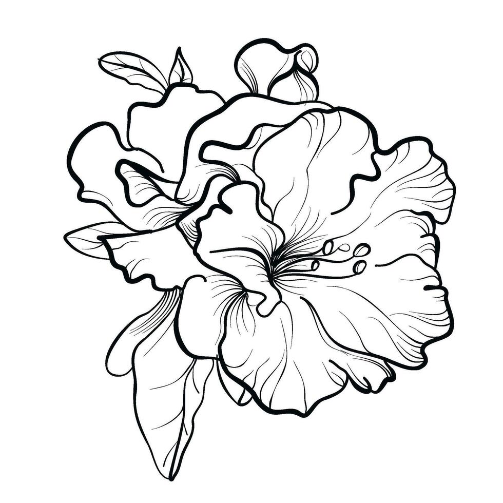 svart och vit ritad för hand azalea blomma vektor illustration