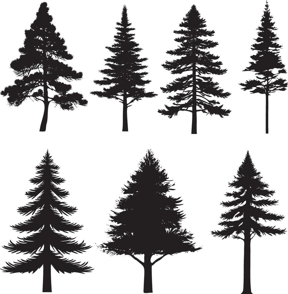 Bäume einstellen Silhouette. Nadelbaum Wald. isoliert Baum auf Weiß Hintergrund. vektor