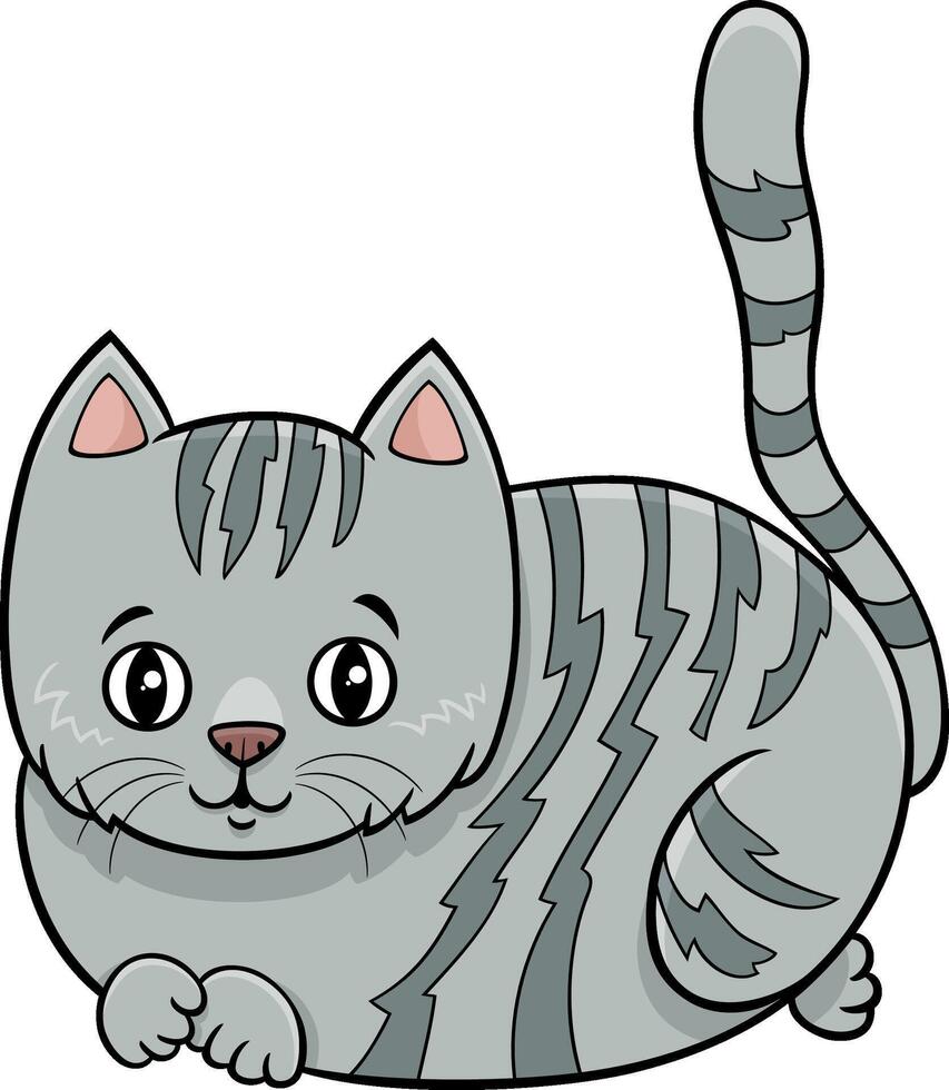 söt tecknad serie grå tabby kattunge komisk djur- karaktär vektor