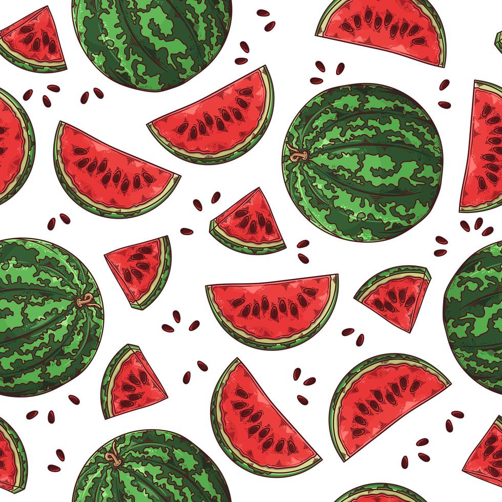 vektor handritad frukt vattenmelon. sömlöst mönster.