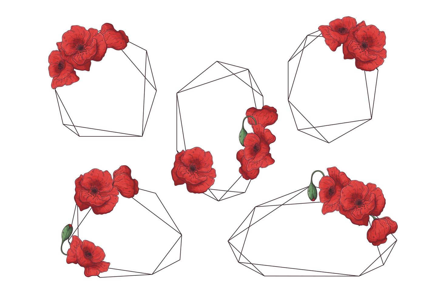 handgezeichnete rahmen mit mohnblumensammlungsvektor. vektor