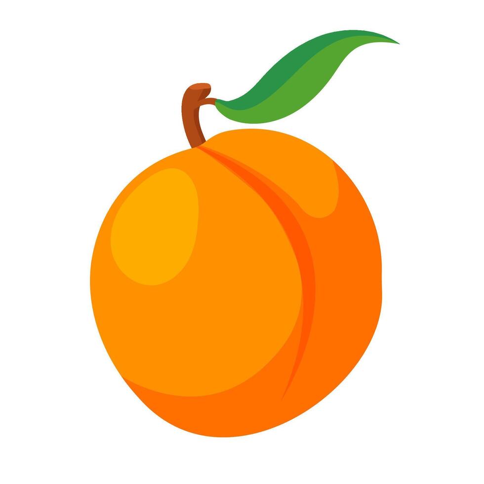persika isolerat vektor ikon. frukt ikon isolerat.