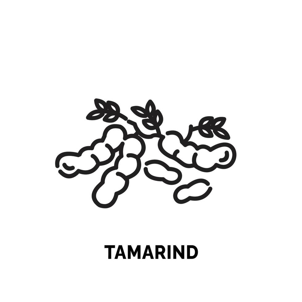 linjekonst tamarind logotyp illustration lämplig för frukt affär och frukt bruka vektor