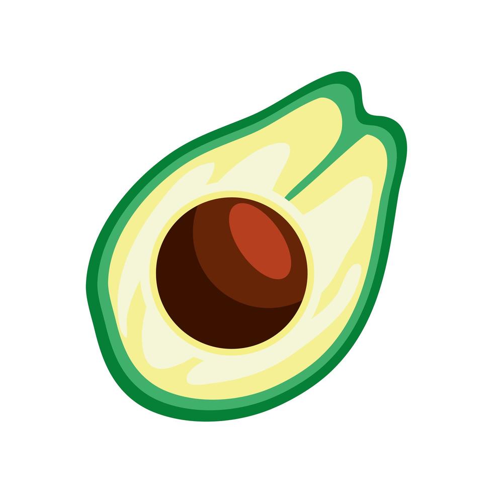 tropische Frucht Avocado vektor