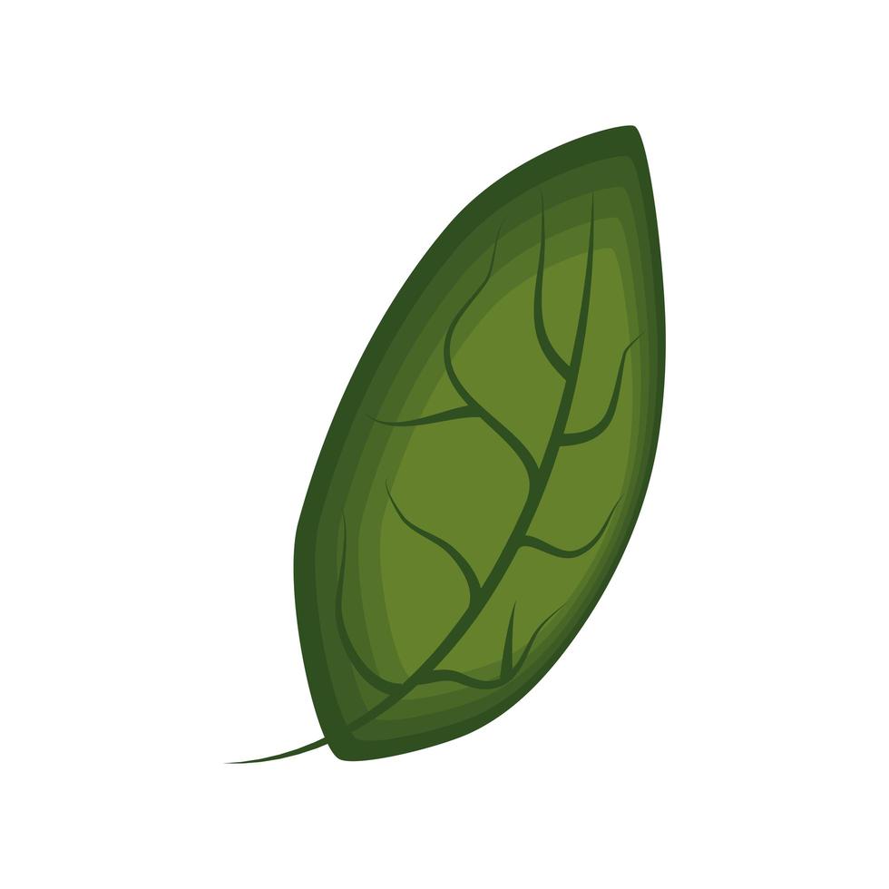 gröna blad ikon vektor