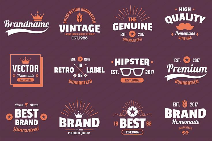 Vintage Retro Vector Logo för banner