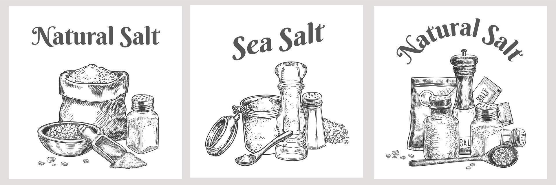 Meer Salz- Etiketten. natürlich und organisch salzen Kristalle zum Bad. Kochen Poster mit Würze. Jahrgang würzen oder Salz- Verpackung Vektor Design