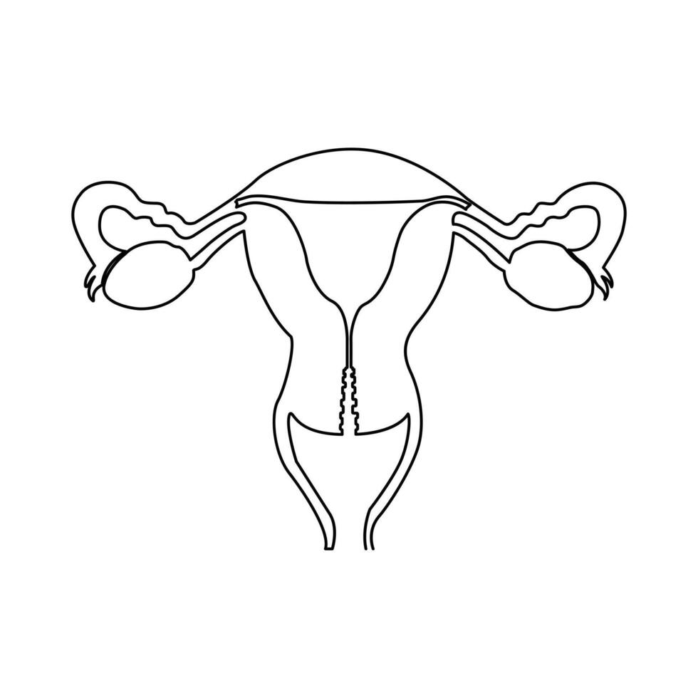 kontinuerlig enda ett linje teckning livmoder och äggstockar, organ av kvinna reproduktiv systemet och kvinnors dag vektor konst illustration