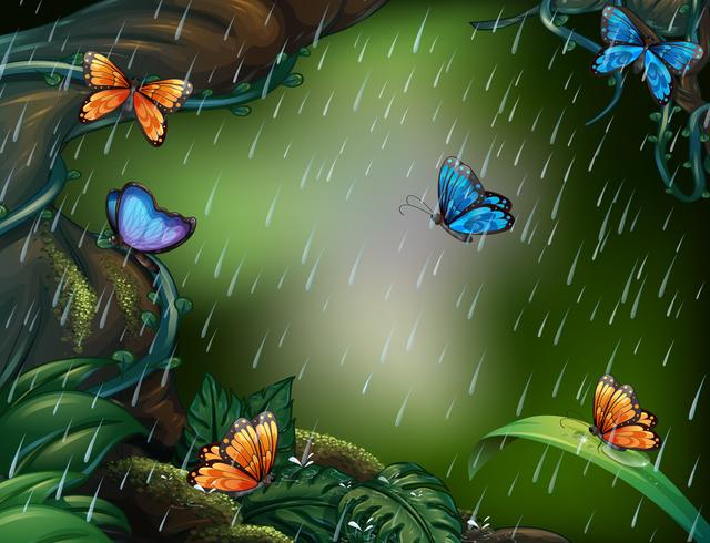 Djup skogscen med fjärilar som flyger i regnet vektor