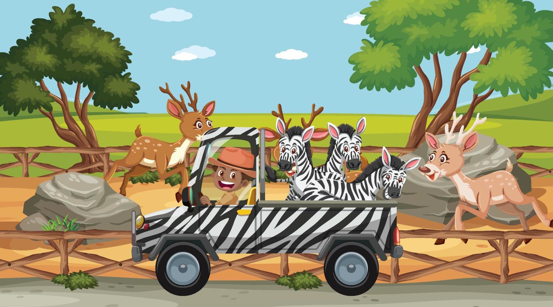 safari scen med många zebror på en lastbil vektor