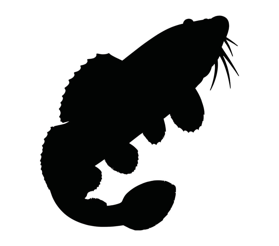 afrikanisch Lungenfisch Silhouette Lager Vektor Illustration.