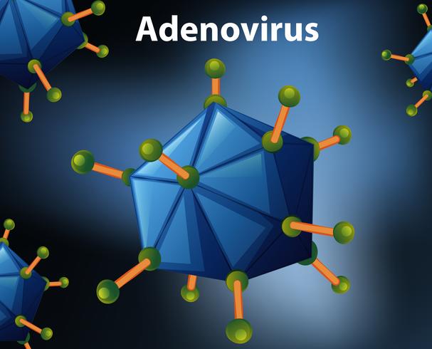 Närbildsdiagram för adenovirus vektor