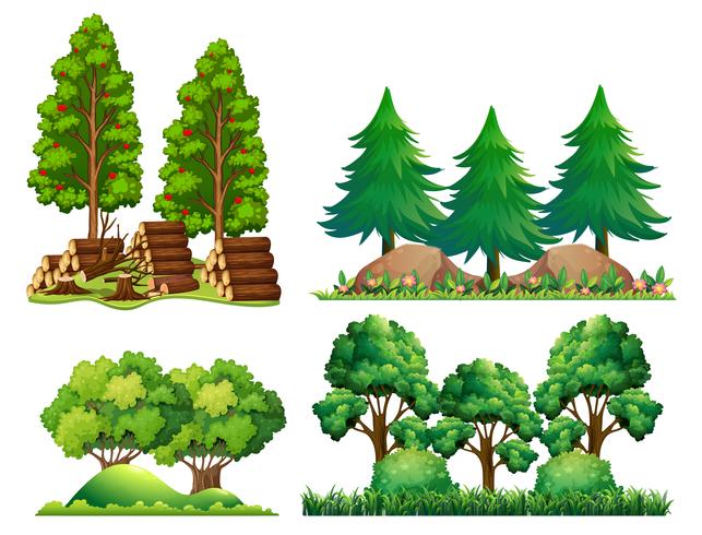 En uppsättning skogslandskap vektor