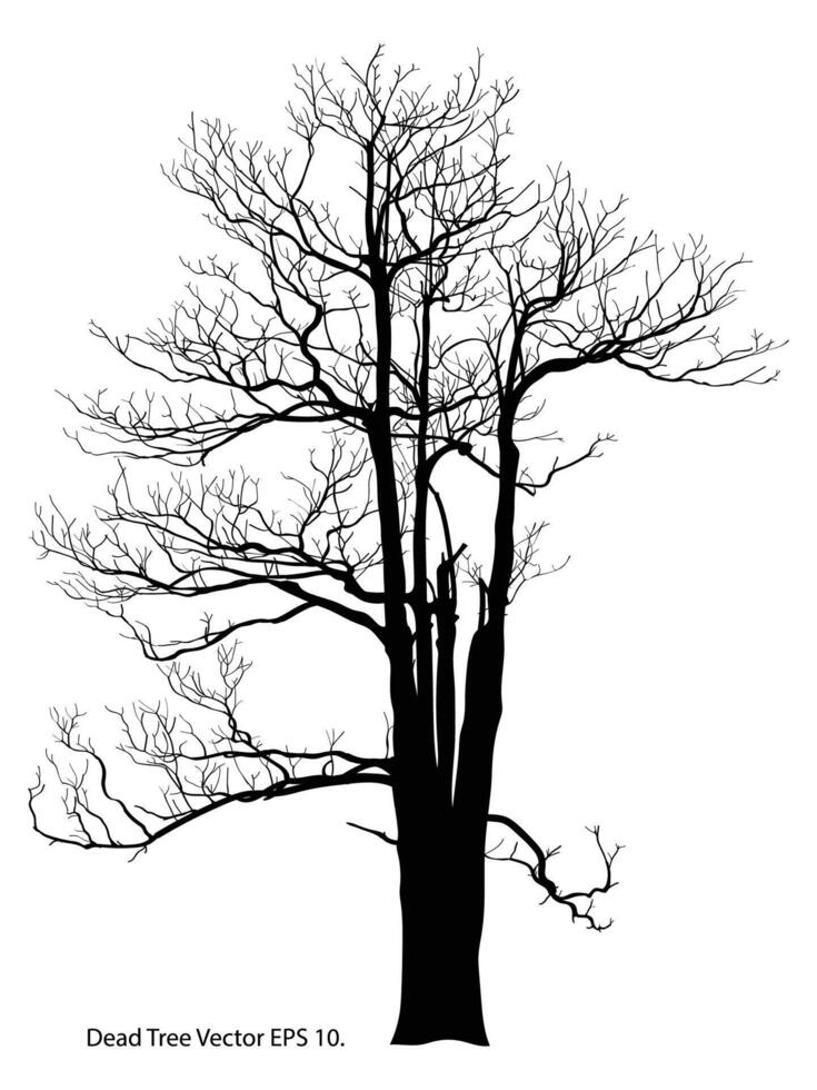 död- träd utan löv vektor illustration skissade, eps 10.