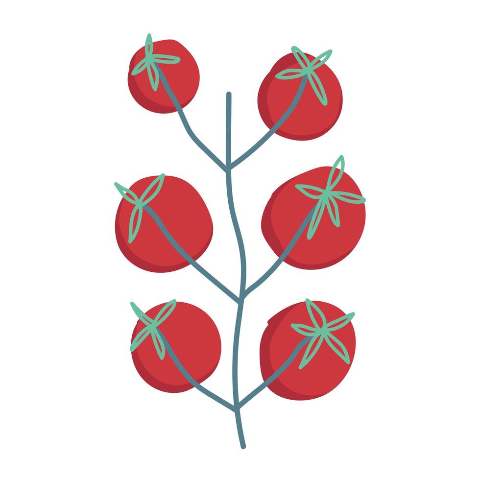 tomater i gren träd grönsaksmat ikon isolerad design vektor