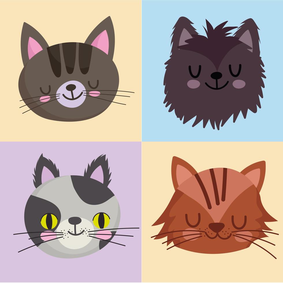 Haustiere Icons Set Katzen katzenartiges Maskottchen Tier, Gesichter auf Farbdesign vektor