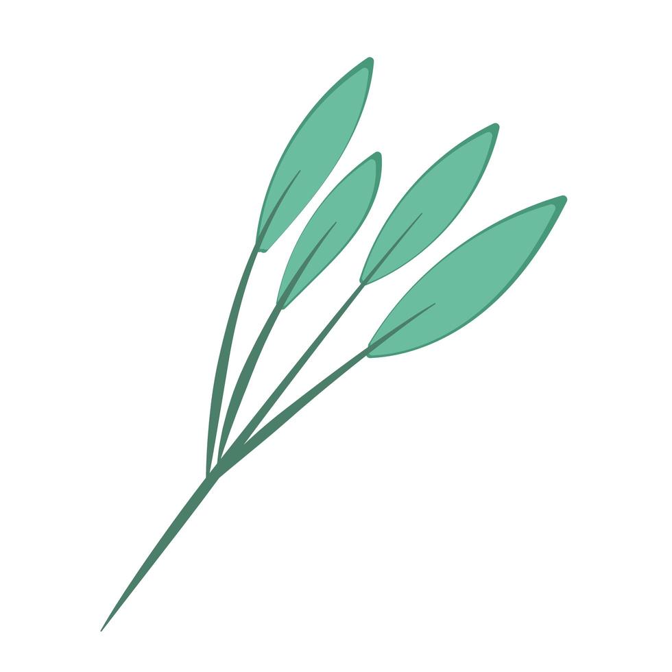 Zweig Laub Blätter Natur Dekoration Cartoon Symbol isolierten Stil vektor