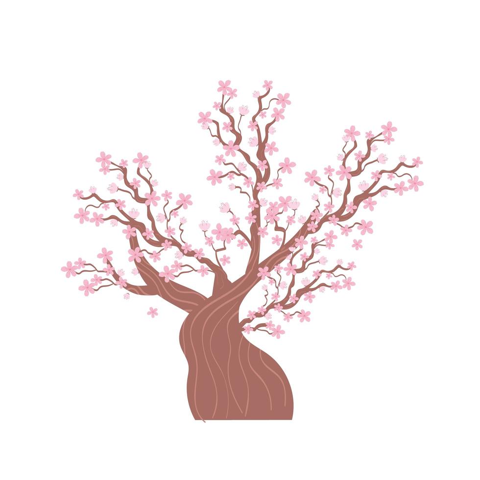 sakura blommaträd vektor