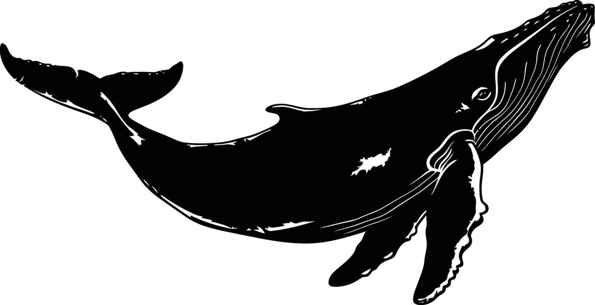 ai generiert Silhouette Wal schwarz Farbe nur voll Körper vektor