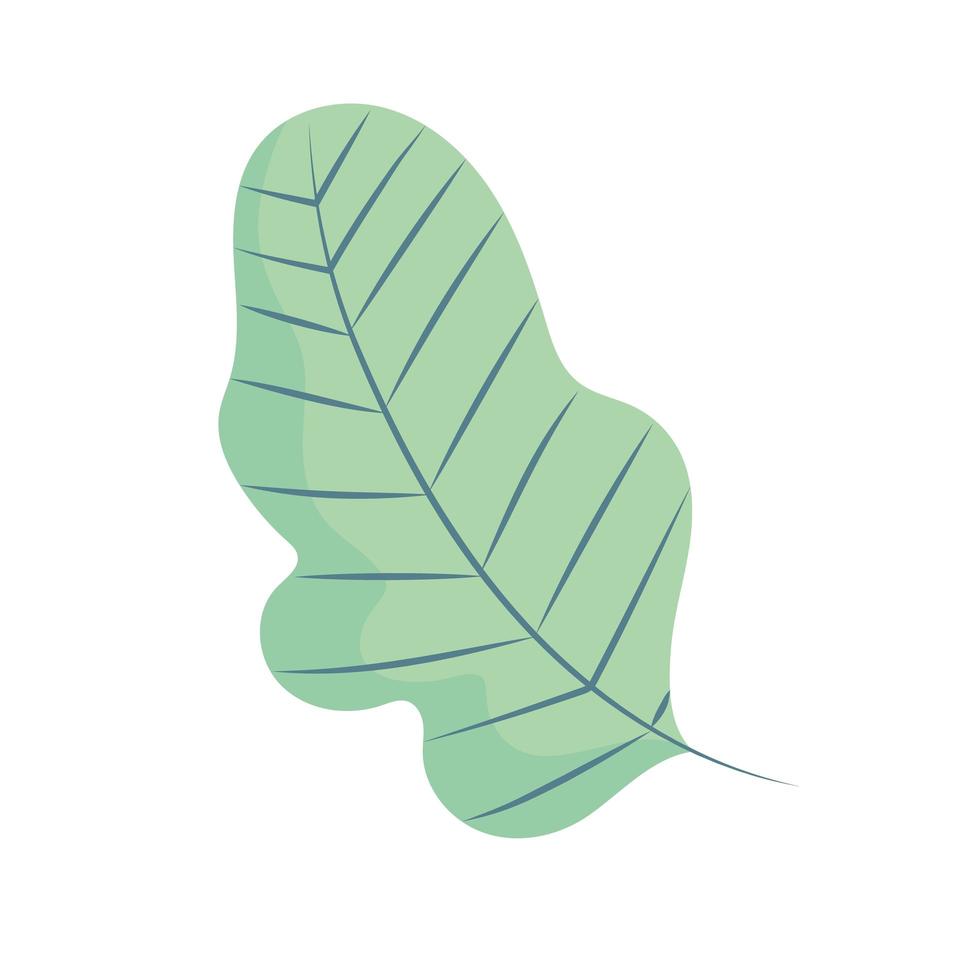 blad natur lövverk tecknad ikon isolerad stil vektor