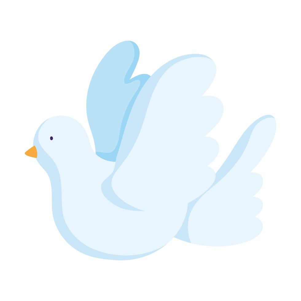 vit duva fågel djur tecknad ikon isolerad design vektor