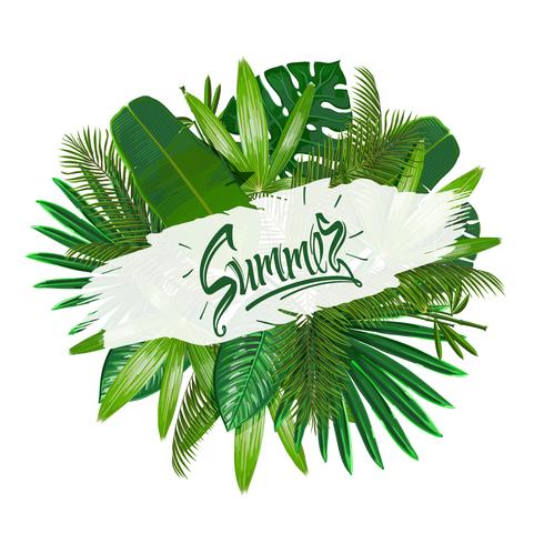 Tropische Blätter um den Zeichensommer auf weißem Hintergrund. vektor