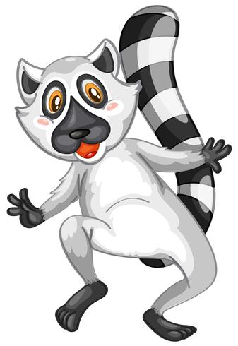 lemur vektor