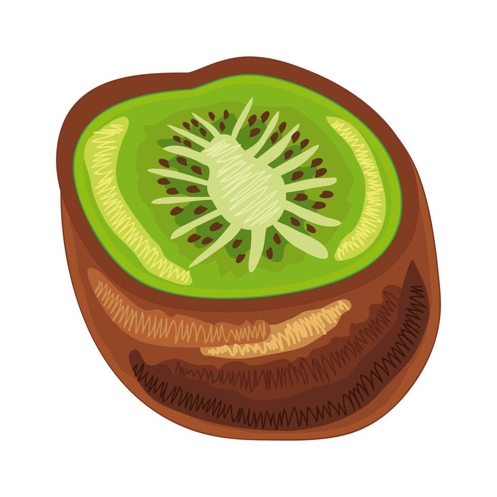 kiwi färsk frukt vektor