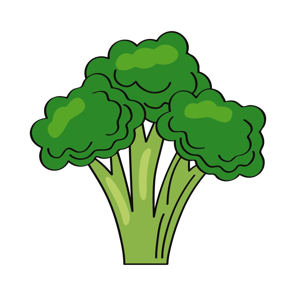 färsk broccoli grönsak vektor