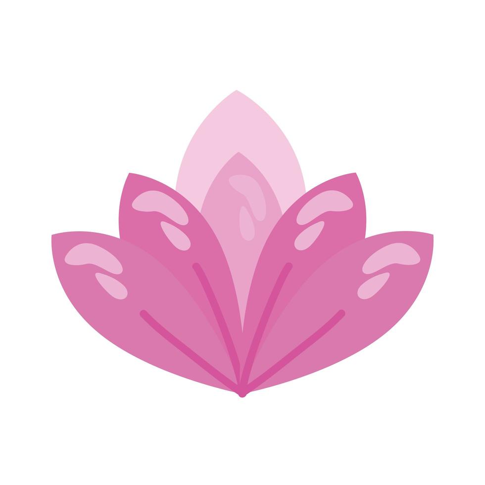 lila Lotusblume vektor