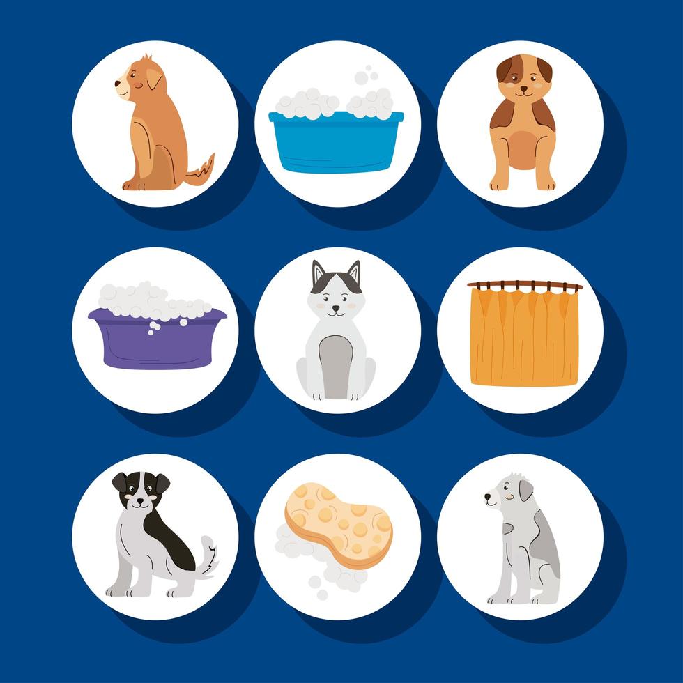 nio tvätta husdjur ikoner vektor