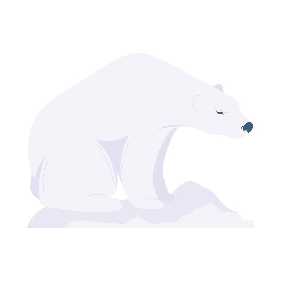isbjörndjur vektor