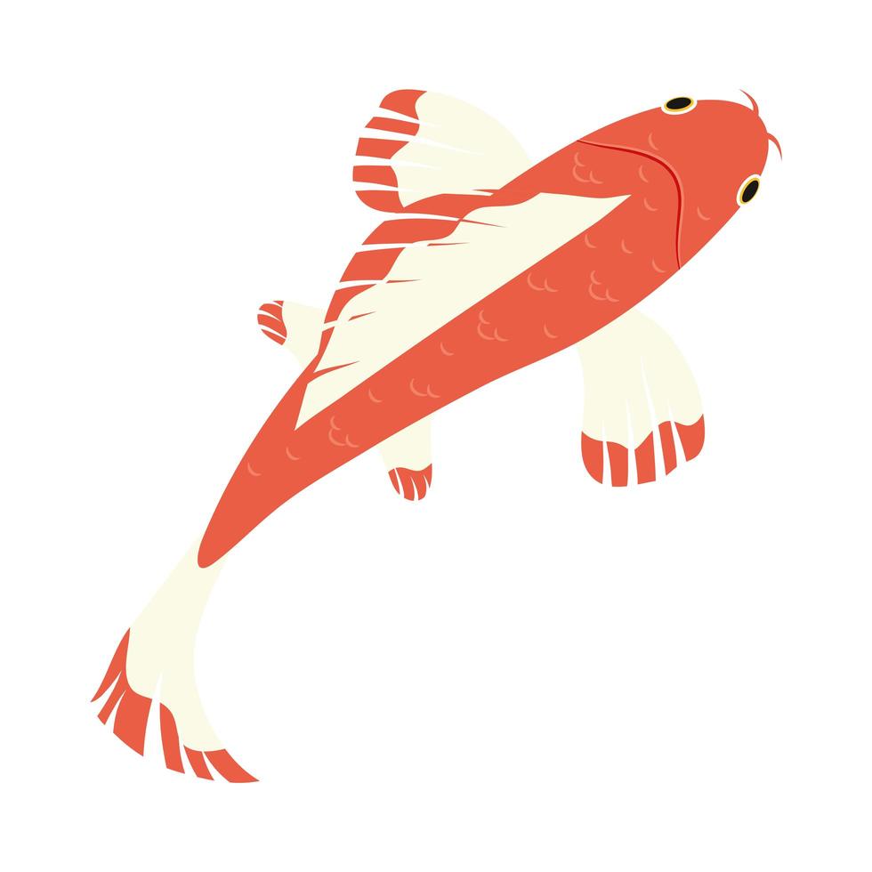 orangefarbener Koi-Fisch vektor
