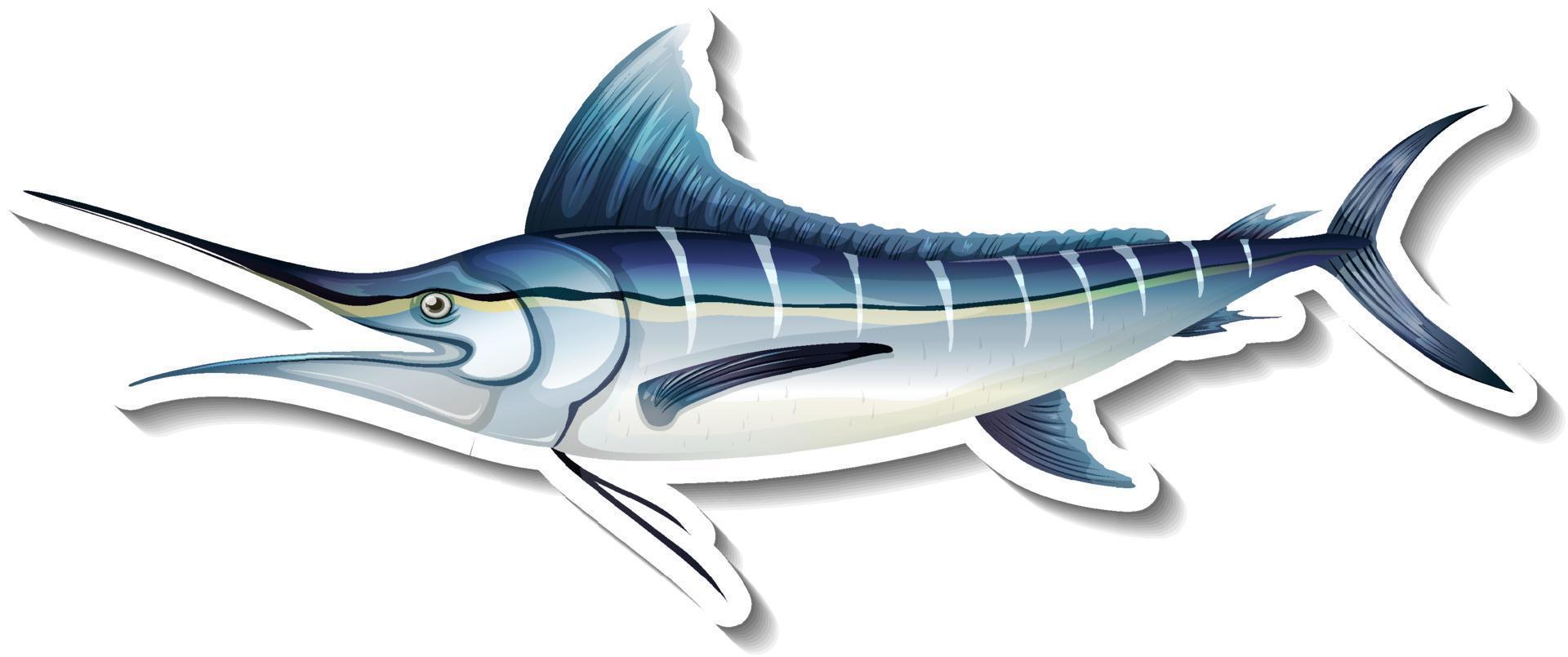 atlantic blue marlin fish sticker auf weißem hintergrund vektor